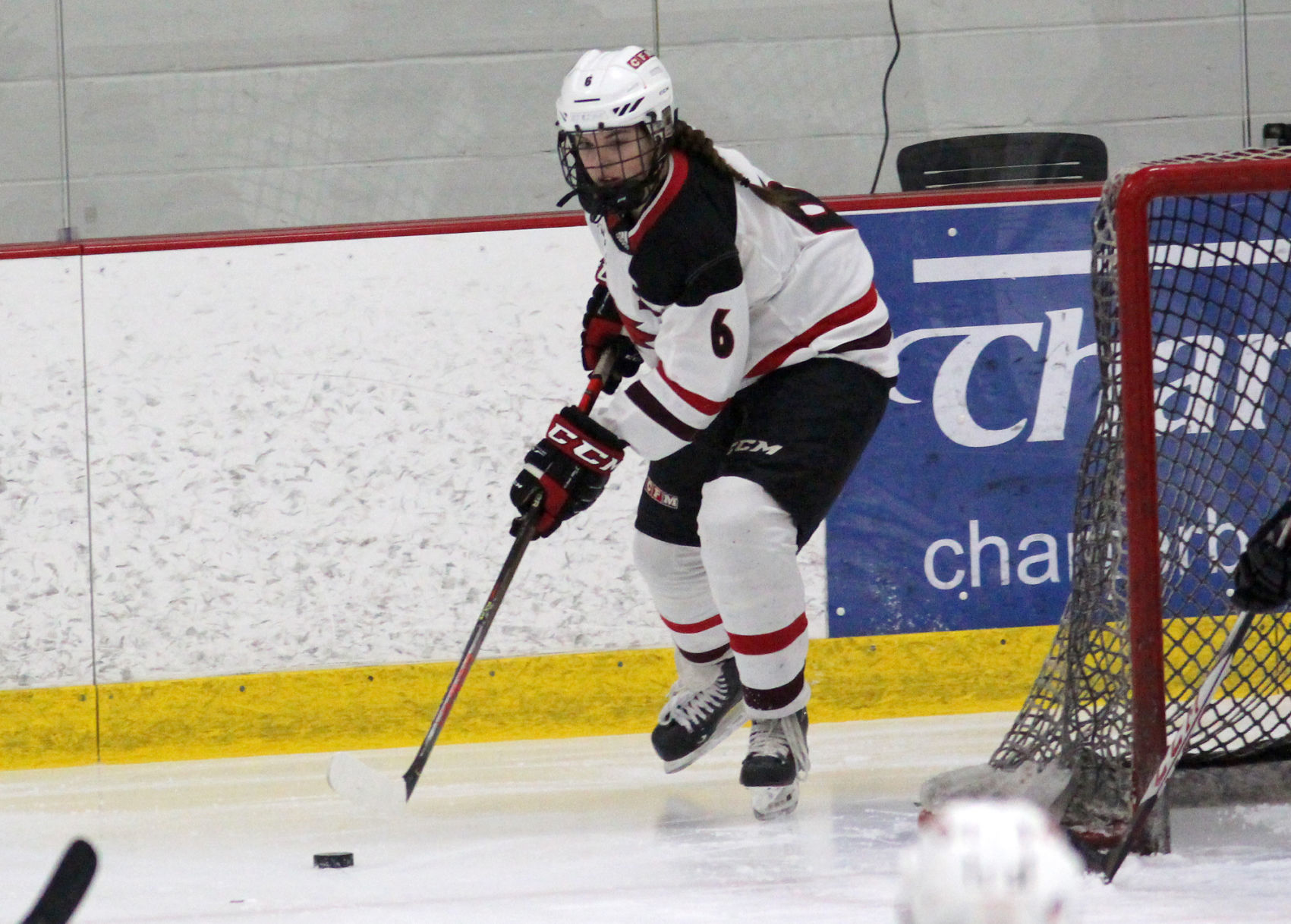 Medford at Chippewa Falls/Menomonie girls hockey 1-30-20